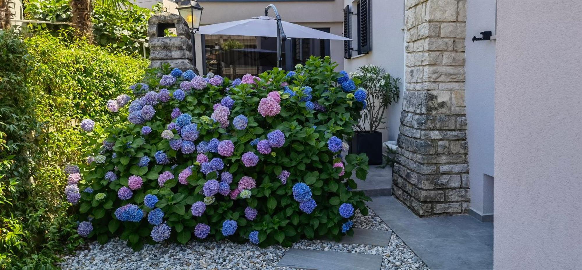 Stay In The Very Heart Of Porec - 50M To The Beach Buitenkant foto